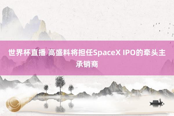 世界杯直播 高盛料将担任SpaceX IPO的牵头主承销商