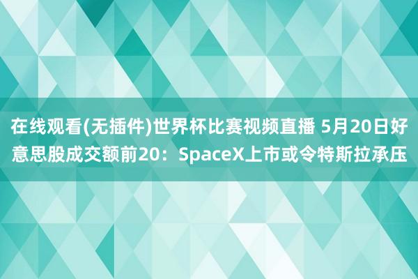 在线观看(无插件)世界杯比赛视频直播 5月20日好意思股成交额前20：SpaceX上市或令特斯拉承压