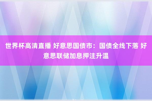 世界杯高清直播 好意思国债市：国债全线下落 好意思联储加息押注升温