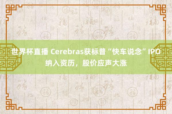 世界杯直播 Cerebras获标普“快车说念”IPO纳入资历，股价应声大涨