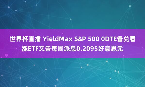 世界杯直播 YieldMax S&P 500 0DTE备兑看涨ETF文告每周派息0.2095好意思元