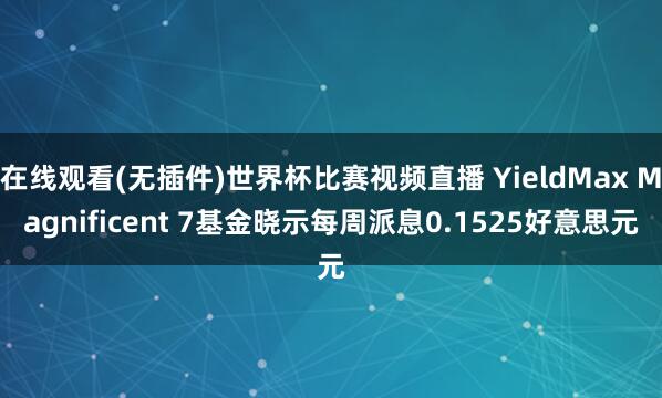 在线观看(无插件)世界杯比赛视频直播 YieldMax Magnificent 7基金晓示每周派息0.1525好意思元