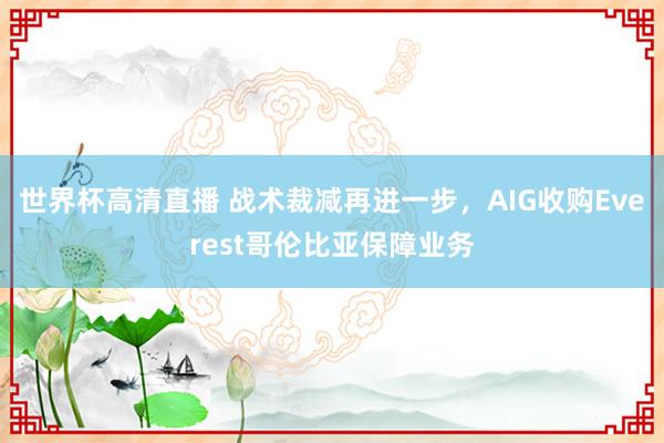 世界杯高清直播 战术裁减再进一步，AIG收购Everest哥伦比亚保障业务