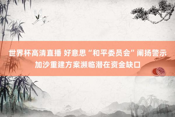 世界杯高清直播 好意思“和平委员会”阐扬警示加沙重建方案濒临潜在资金缺口