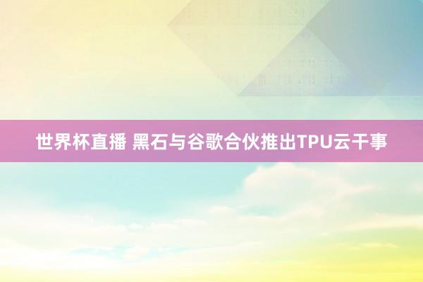 世界杯直播 黑石与谷歌合伙推出TPU云干事