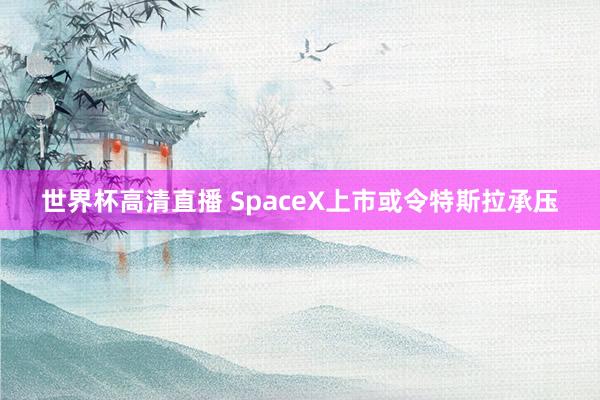 世界杯高清直播 SpaceX上市或令特斯拉承压