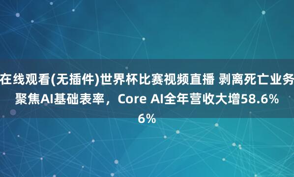 在线观看(无插件)世界杯比赛视频直播 剥离死亡业务聚焦AI基础表率，Core AI全年营收大增58.6%