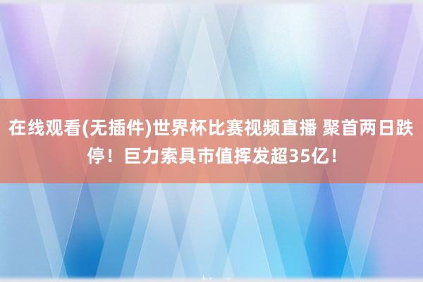 在线观看(无插件)世界杯比赛视频直播 聚首两日跌停！巨力索具市值挥发超35亿！