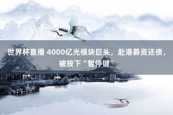 世界杯直播 4000亿光模块巨头，赴港募资还债，被按下“暂停键”