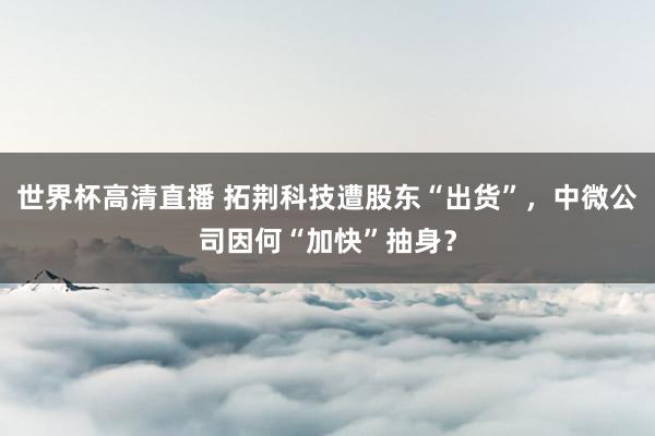 世界杯高清直播 拓荆科技遭股东“出货”，中微公司因何“加快”抽身？