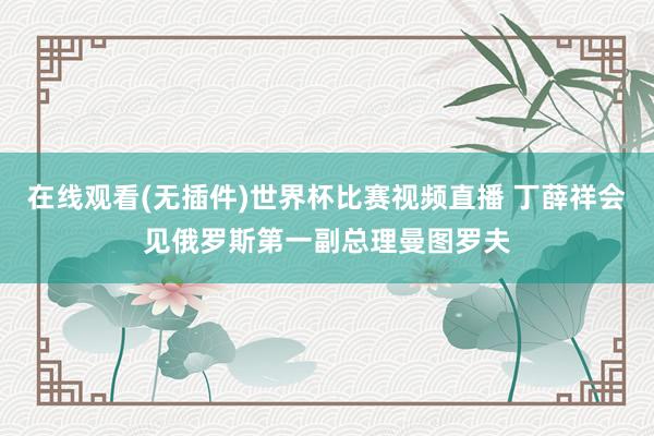 在线观看(无插件)世界杯比赛视频直播 丁薛祥会见俄罗斯第一副总理曼图罗夫