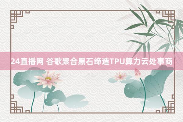 24直播网 谷歌聚合黑石缔造TPU算力云处事商