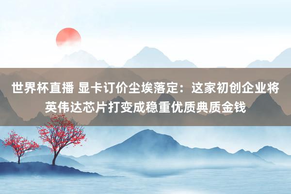 世界杯直播 显卡订价尘埃落定：这家初创企业将英伟达芯片打变成稳重优质典质金钱
