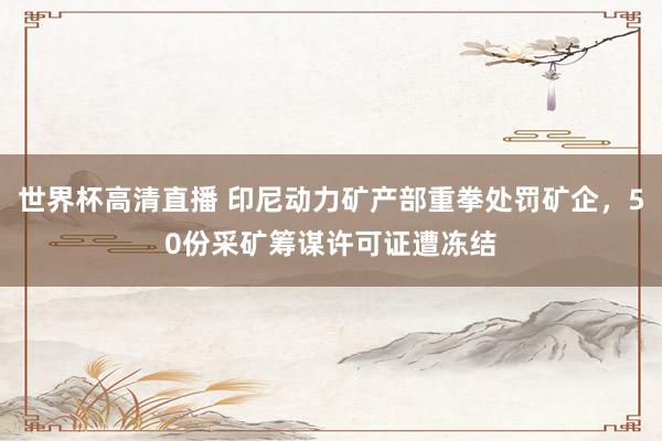 世界杯高清直播 印尼动力矿产部重拳处罚矿企，50份采矿筹谋许可证遭冻结
