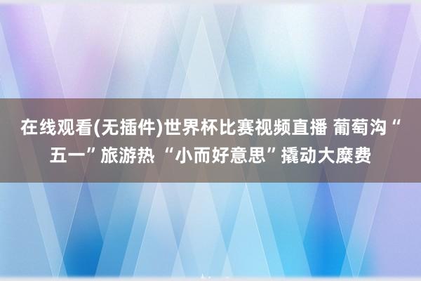 在线观看(无插件)世界杯比赛视频直播 葡萄沟“五一”旅游热 “小而好意思”撬动大糜费