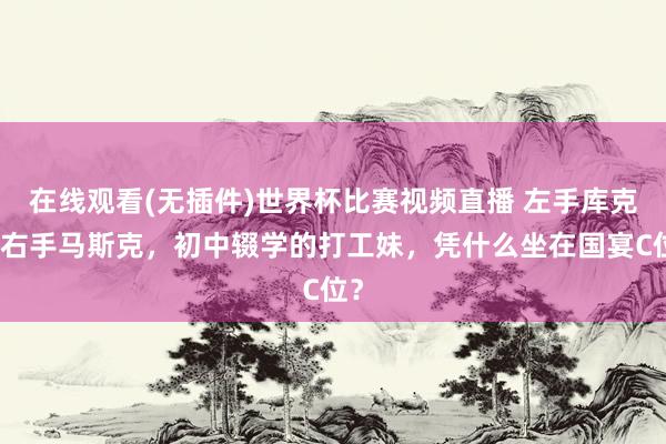 在线观看(无插件)世界杯比赛视频直播 左手库克、右手马斯克，初中辍学的打工妹，凭什么坐在国宴C位？