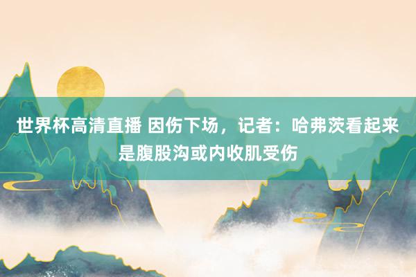 世界杯高清直播 因伤下场，记者：哈弗茨看起来是腹股沟或内收肌受伤