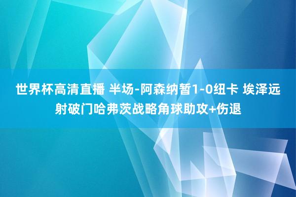 世界杯高清直播 半场-阿森纳暂1-0纽卡 埃泽远射破门哈弗茨战略角球助攻+伤退