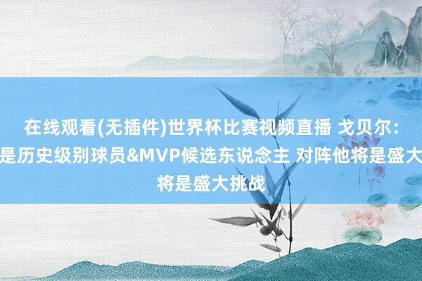 在线观看(无插件)世界杯比赛视频直播 戈贝尔：文班是历史级别球员&MVP候选东说念主 对阵他将是盛大挑战