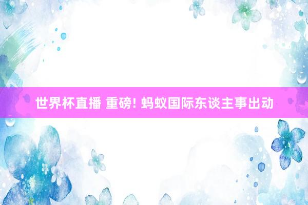 世界杯直播 重磅! 蚂蚁国际东谈主事出动