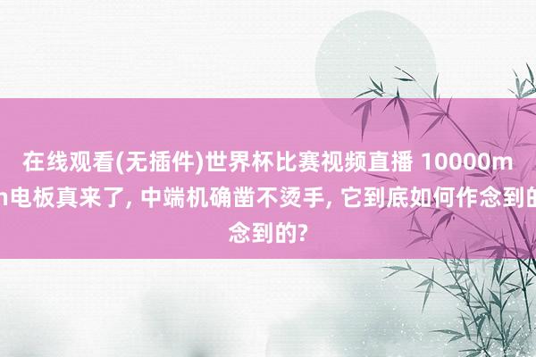 在线观看(无插件)世界杯比赛视频直播 10000mAh电板真来了， 中端机确凿不烫手， 它到底如何作念到的?