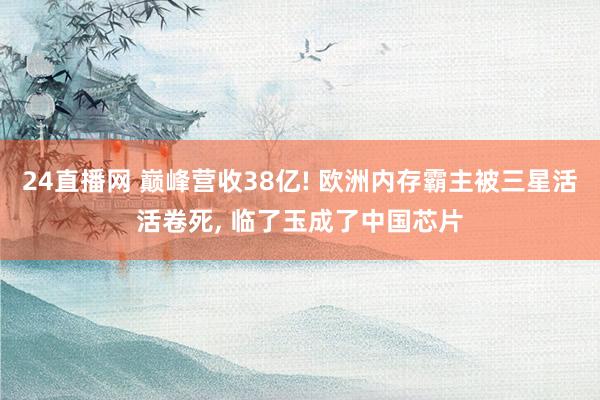 24直播网 巅峰营收38亿! 欧洲内存霸主被三星活活卷死， 临了玉成了中国芯片