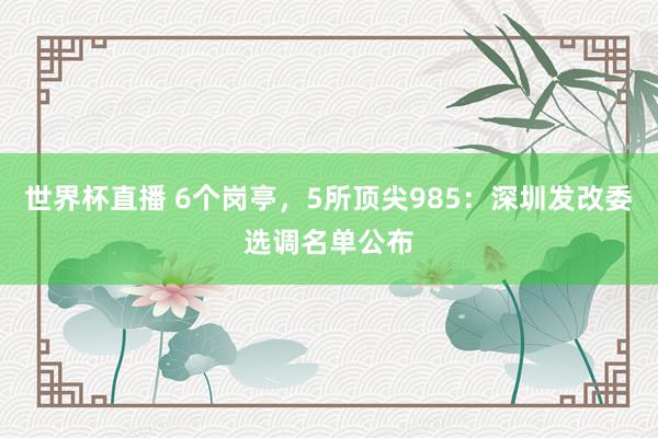 世界杯直播 6个岗亭，5所顶尖985：深圳发改委选调名单公布