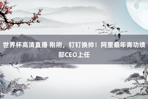 世界杯高清直播 刚刚，钉钉换帅！阿里最年青功绩部CEO上任