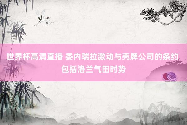 世界杯高清直播 委内瑞拉激动与壳牌公司的条约 包括洛兰气田时势