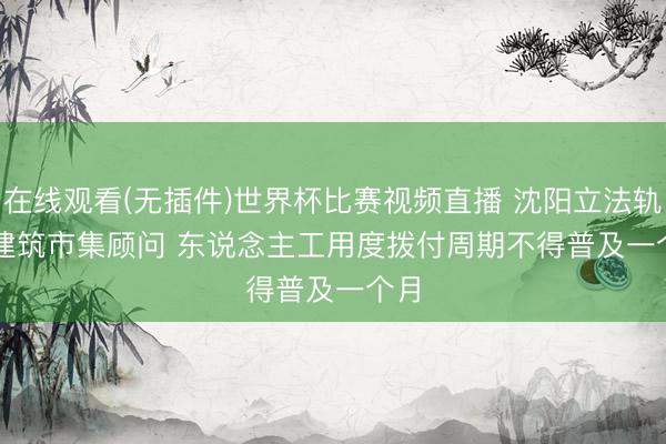 在线观看(无插件)世界杯比赛视频直播 沈阳立法轨范建筑市集顾问 东说念主工用度拨付周期不得普及一个月