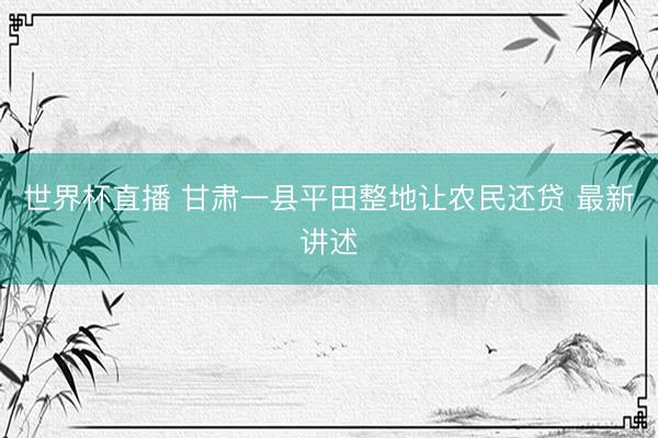 世界杯直播 甘肃一县平田整地让农民还贷 最新讲述
