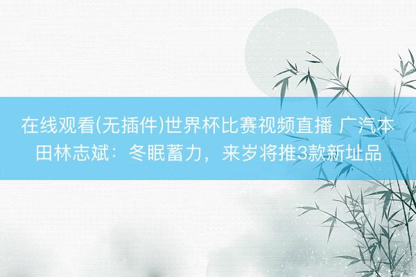 在线观看(无插件)世界杯比赛视频直播 广汽本田林志斌：冬眠蓄力，来岁将推3款新址品