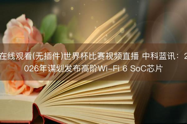 在线观看(无插件)世界杯比赛视频直播 中科蓝讯:2026年谋划发布高阶Wi-Fi 6 SoC芯片