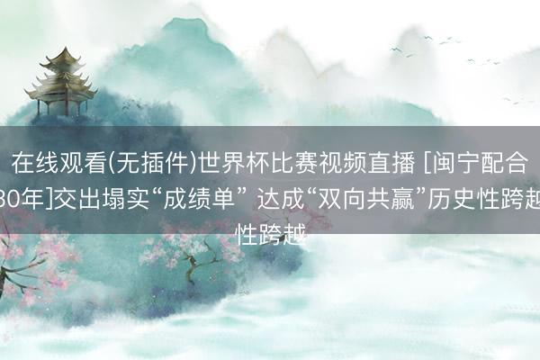 在线观看(无插件)世界杯比赛视频直播 [闽宁配合30年]交出塌实“成绩单” 达成“双向共赢”历史性跨越